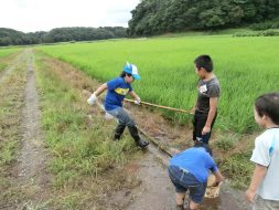 ザリガニやカエル採りに夢中！