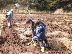 親子で休耕田を掘り返します