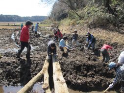 完成した水路に掛けた丸太の橋