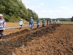 給水管の埋設作業