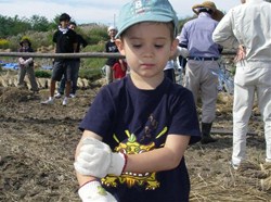 大人たちの作業中、子どもたちはカエルやトンボ取りに夢中でした「ほら、カエルが手にとまってる」