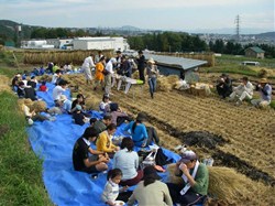 予定以上に時間がかかりおなかはぺこぺこ、金芽米のおにぎりと土屋さんの差し入れの栗おこわ、そして産地の方が準備してくれたきのこ汁がとても美味でした