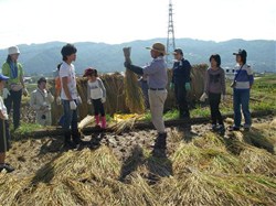 次に、刈り取った稲の束ね方を土屋さんから説明を受けました