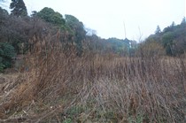 作業前の休耕田を5月の田植えに間に合うように田んぼにします