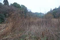 作業前の休耕田を5月の田植えに間に合うように田んぼにします