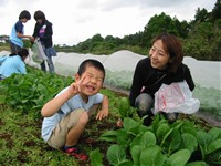 小松菜の収穫作業にて.jpg"