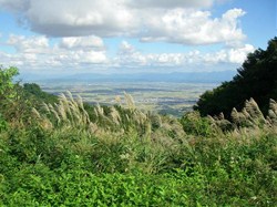 弥彦山からは弥彦村が一望できます