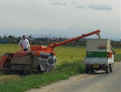 収穫されたお米（もみ）はコンバインから軽トラックへと移されます。