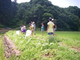 田んぼの中だけでなく、まわりにすんでいる生きものも調べます。