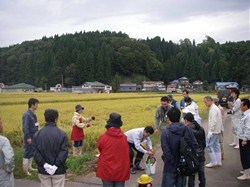 稲刈り体験では、まず生産者の高橋千恵子さんから稲の刈り方を教わりました。