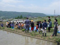 着替えた後、田植えの説明を受けました