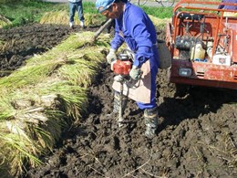 天日干し用の棒を立てるため、地面にドリルで穴を開けます