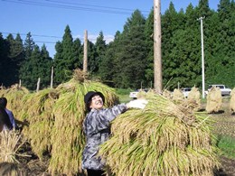 もう手が届かない...