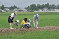 カエルの生息調査"