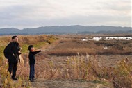 田んぼの風景