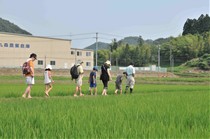 カエルの生息調査"