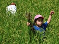 草取りをする子ども