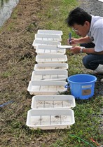 田んぼの土の中の生き物を調べます