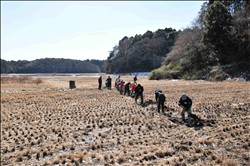 「みんなの再生田1号」。ここの井戸から「再生田2号」に用水を供給するパイプの敷設作業の様子