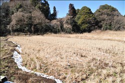 「みんなの再生田2号」。4年目の「田んぼの学校」では、「みんなの再生田2号」の拡張を計画しています