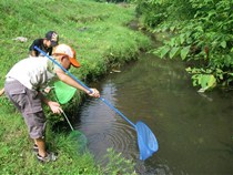 田舎の夏休みを存分に楽しみました。