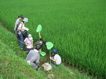 虫取りに子どもたちは夢中！