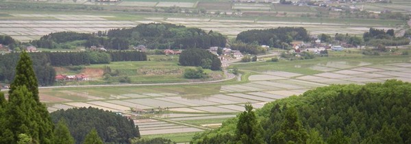 （宮城県大崎市田尻の風景（5月末）