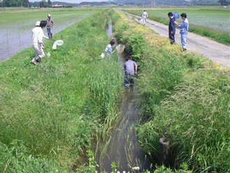 まわりの水路でも調査します。