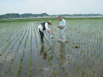 測定機器を使って水質も調査しました