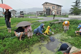 田んぼの生きもの調査「何が採れるかな？」