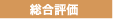 総合評価