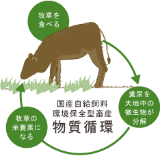 無えんせき ハム・ウインナー