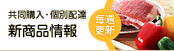 ���T�X�V�F�V���i���