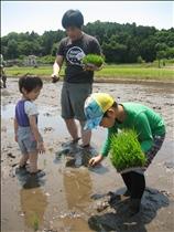 本物の田んぼでの田植えは、子どもにとっても貴重な体験