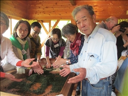 茶の手もみ体験、右は同社代表取締役の杵塚さん