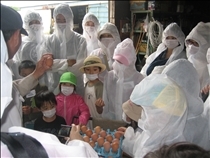 鶏舎にウイルスなどを持ち込まないように、全員が白衣･マスクを着用