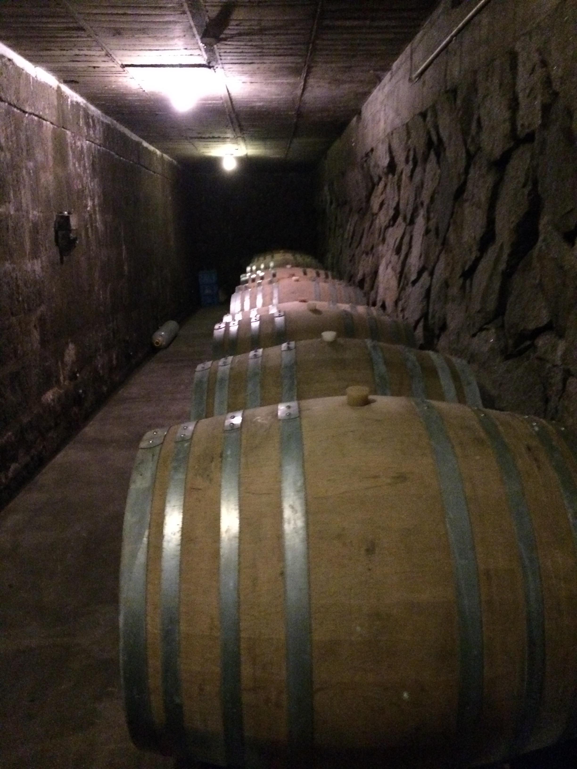 国の有形文化財に指定された「石蔵」横にはワイン熟成用の木樽がズラリ