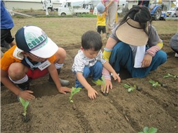 大きく育ちますように！