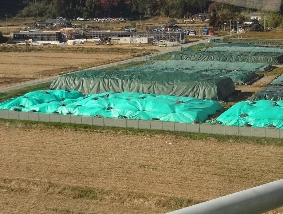 野積みされた汚染土