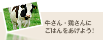 牛さん・鶏さんにごはんをあげよう