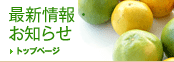 最新情報・お知らせ
