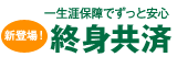 一生涯保障でずっと安心 終身共済