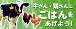 牛さん・鶏さんにごはんをあげよう
