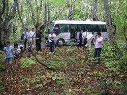 山麓のブナ林。ふかふかした地面にはたくさんの水が吸い込まれ、地下水となり、やがて清らな水となって湧き出てくるのです<br />
