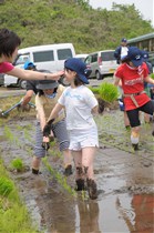 産直えさ米たまご飼料用米田植えのようす