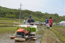 機械での田植えも体験しました。