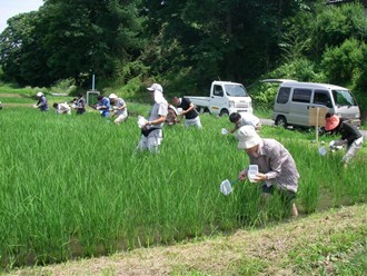 説明を受けた後、いよいよ生きもの調査の開始です<br />
見つけたものをどんどん捕まえます