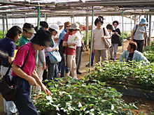 畑の土壌分析をした上で<br>適切な時期に堆肥を投入