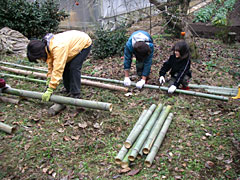 協力して階段用の竹を伐採
