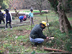 20081217-05.jpg